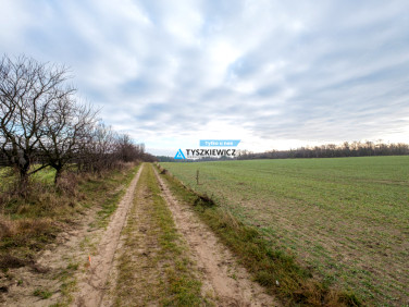 Działka inwestycyjna sprzedam