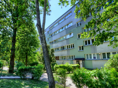 Mieszkanie Łódź