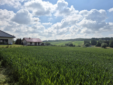 Działka przy lesie