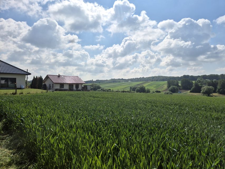 Działka przy lesie