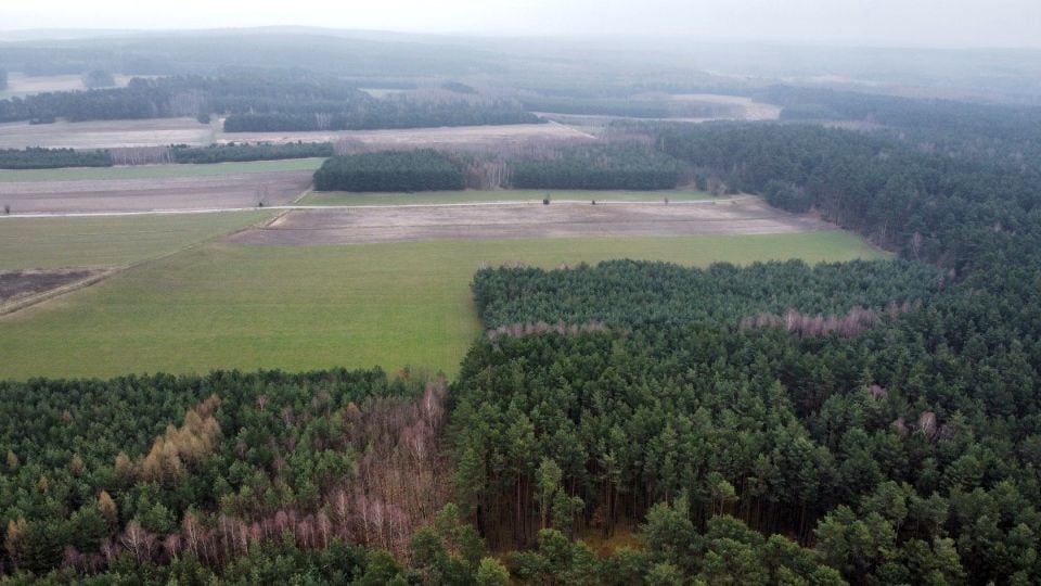 Działka leśna Gorzakiew