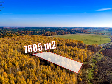 Działka rolna Rudno