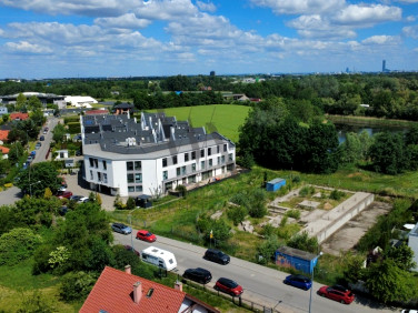 Lokal Wysoka