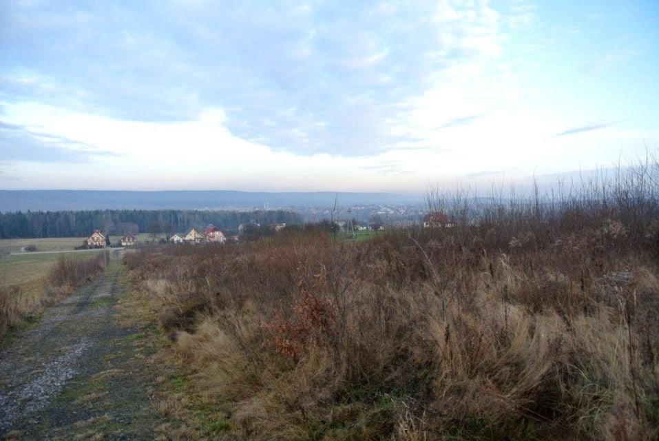 Zdjęcie 3