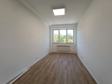 Lokal Kielce