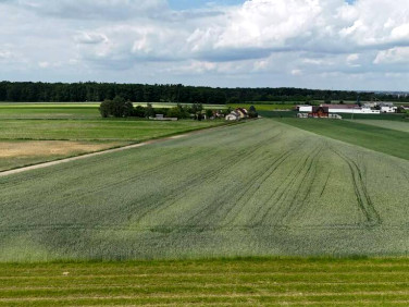 Działka Wysocko Małe
