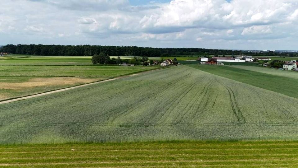 Działka Wysocko Małe