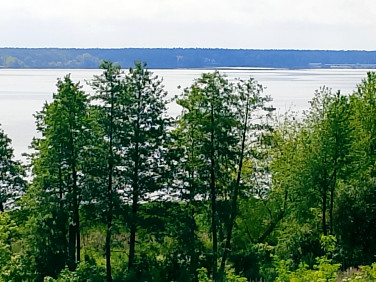 Działka Serock