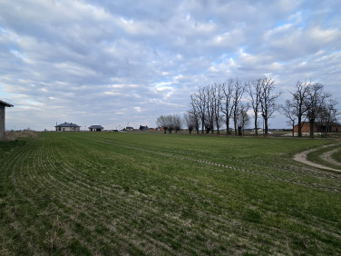 Działka budowlana Pruszków