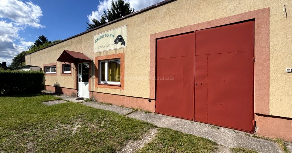 Lokal Dąbrowa Górnicza