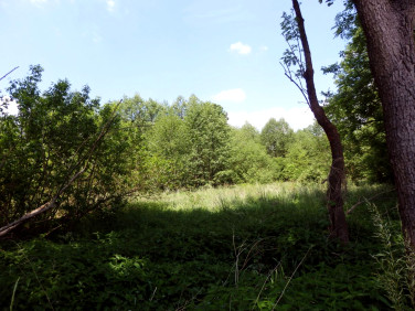 Działka siedliskowa Boruja Nowa