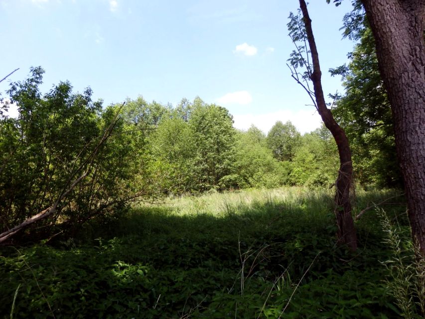 Działka siedliskowa Boruja Nowa