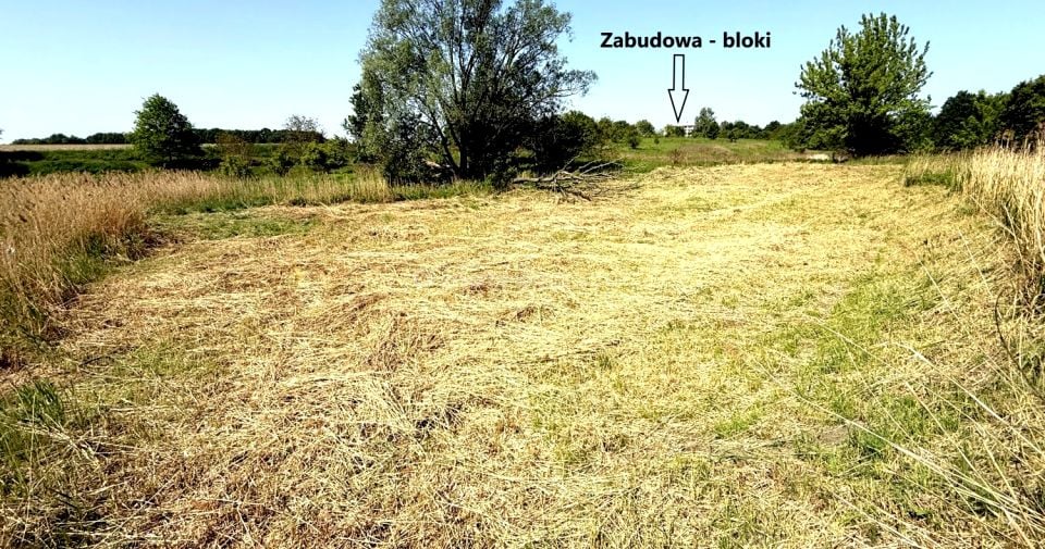 Zdjęcie 2