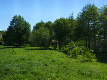 Działka Sztutowo