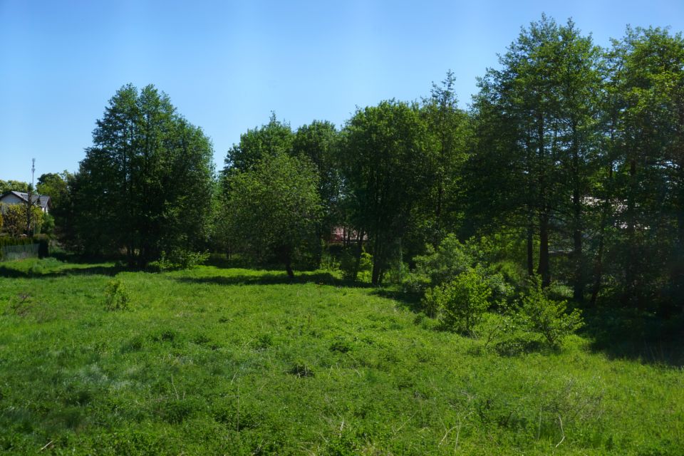 Działka Sztutowo