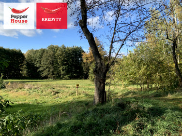 Działka budowlana Lipienica