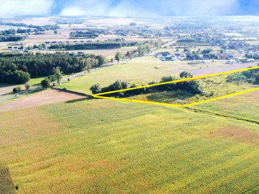 Działka przy lesie
