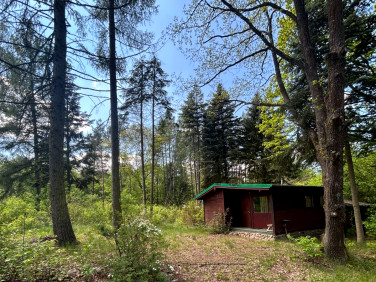 Działka rekreacyjna Radachówka