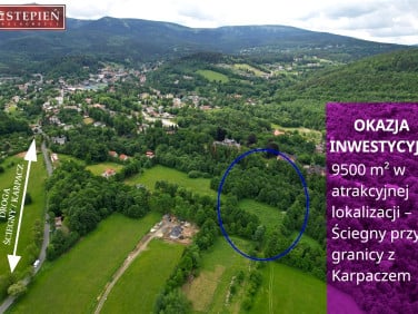 Działka budowlana Ściegny