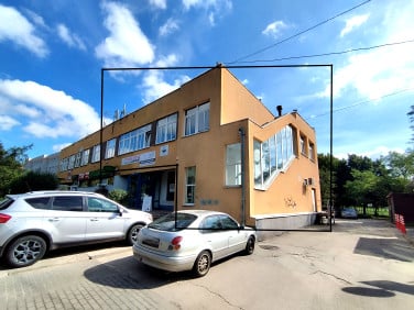 Lokal Chojnów