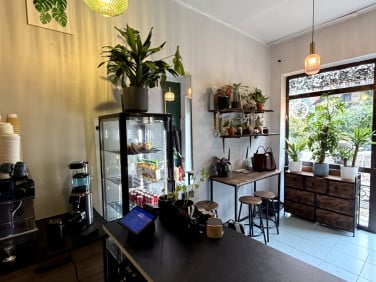 Lokal Kraków