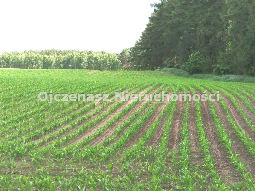 Zdjęcie 2