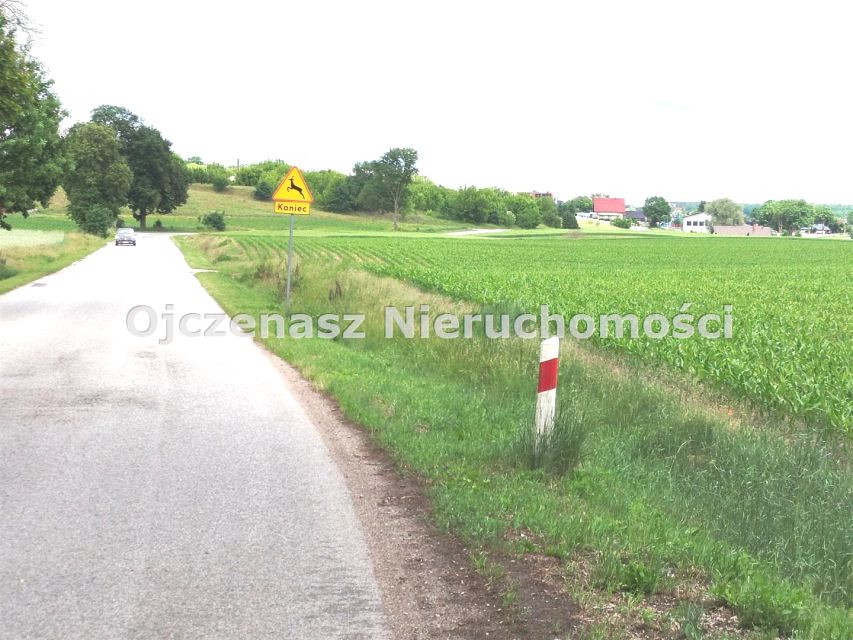 Zdjęcie 3