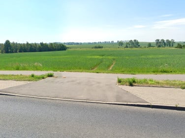 Działka rolna Pawłowo