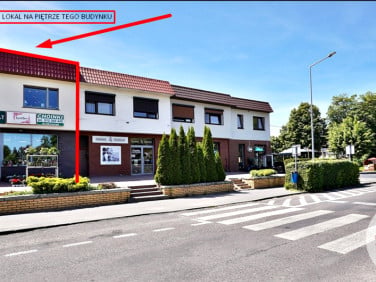 Lokal Stęszew