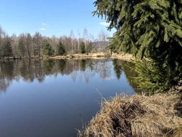 Dom Sędzisław