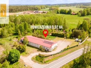 Lokal Stękiny