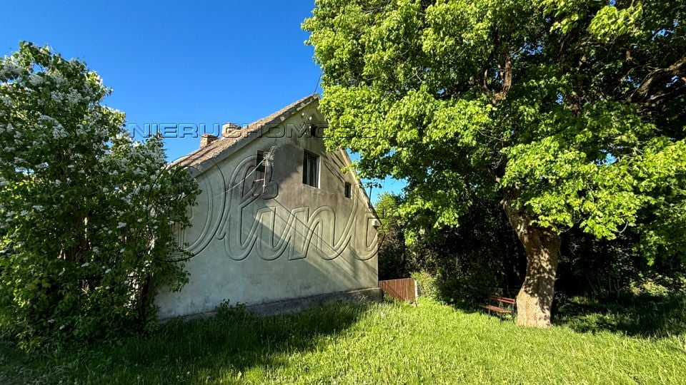 Dom wolnostojący sprzedaż