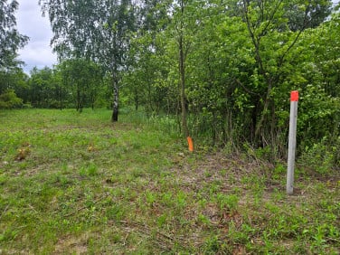 Działka rolna Gołków