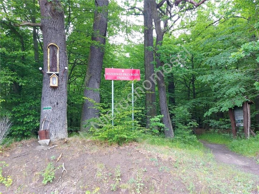Zdjęcie 3