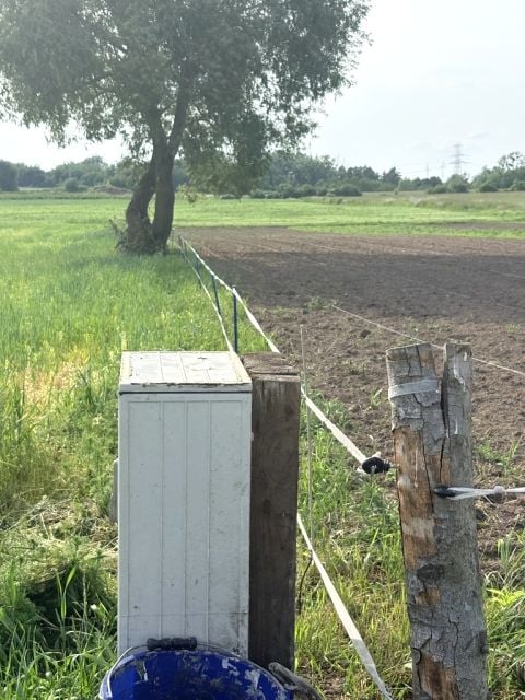 Zdjęcie 3