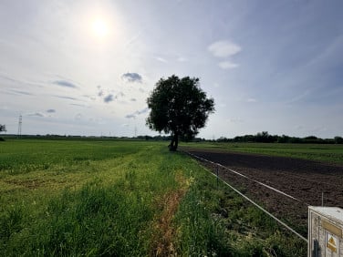 Działka budowlana sprzedam