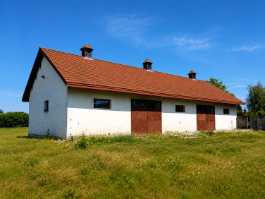 Działka Turka