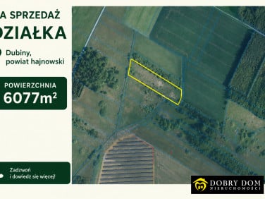 Działka rolna Dubiny