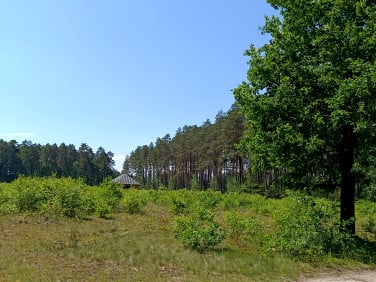 Działka budowlana Rusinowice