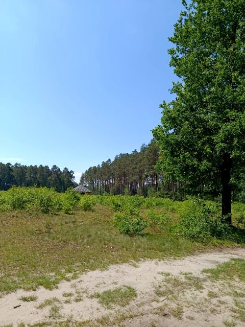 Działka budowlana Rusinowice