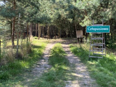 Działka budowlana Straszowice
