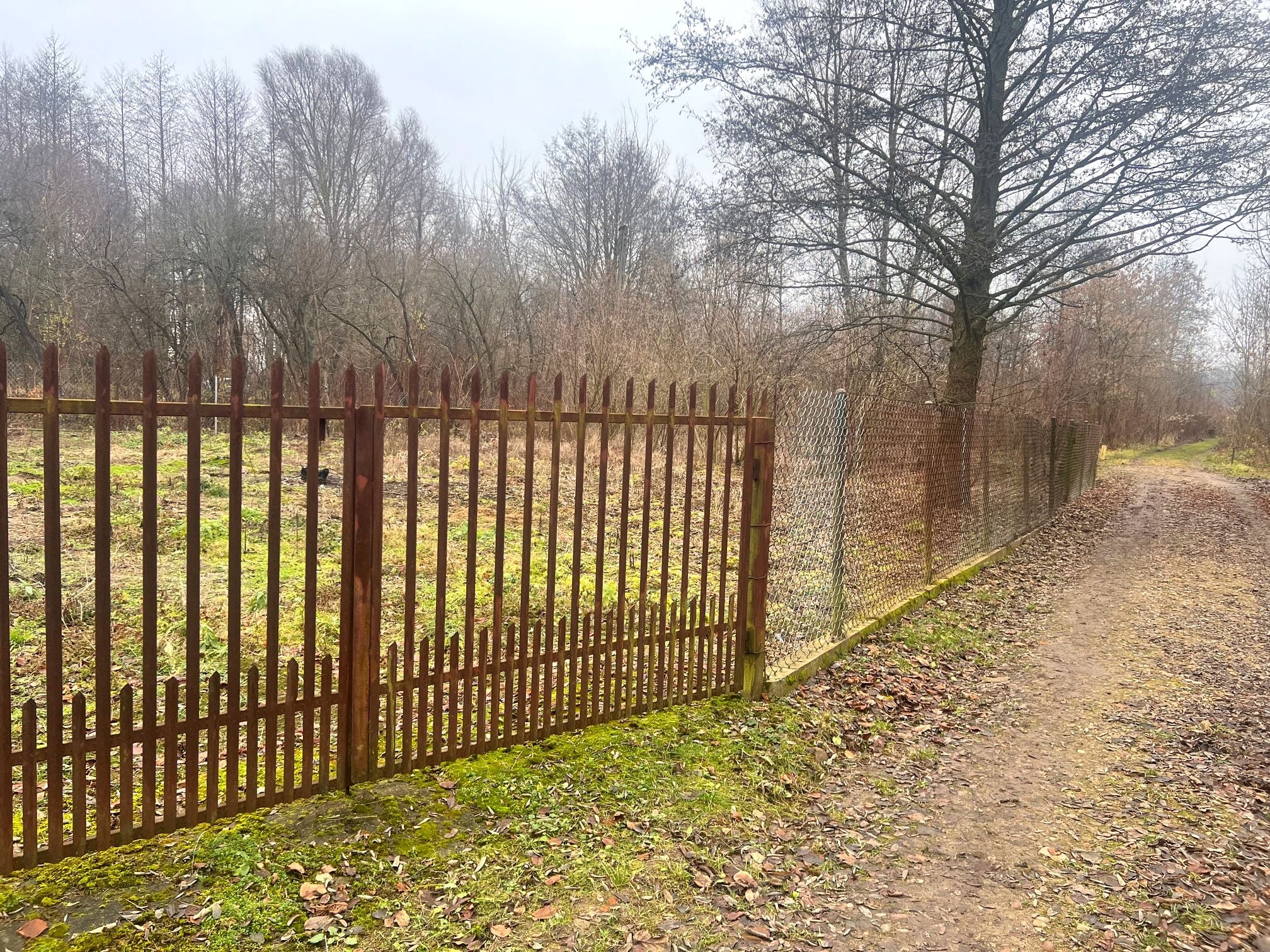 Działka Budowlana Klusek