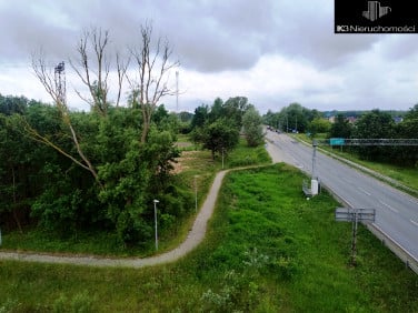 Działka usługowa Jasiorówka