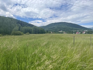 Działka Żywiec