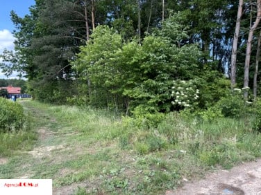 Działka budowlana Radziejowice