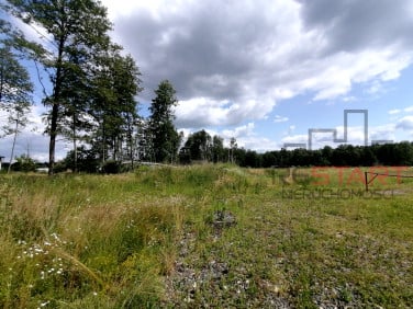Działka przy lesie