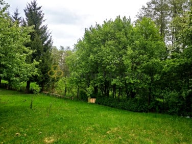 Działka rekreacyjna Gozdnica
