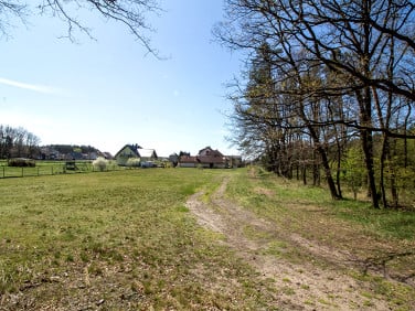 Mieszkanie Krzyżowa Dolina