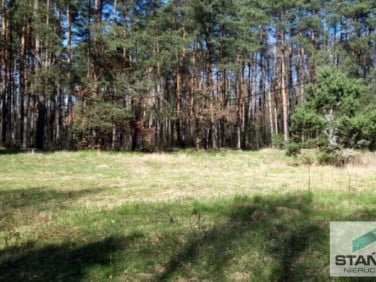 Działka budowlana Wysoka Kamieńska