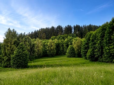 Działka rolna Miłków
